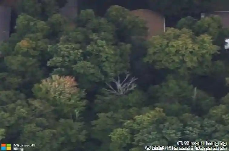 770 lindenwood ln, medina,  OH 44256