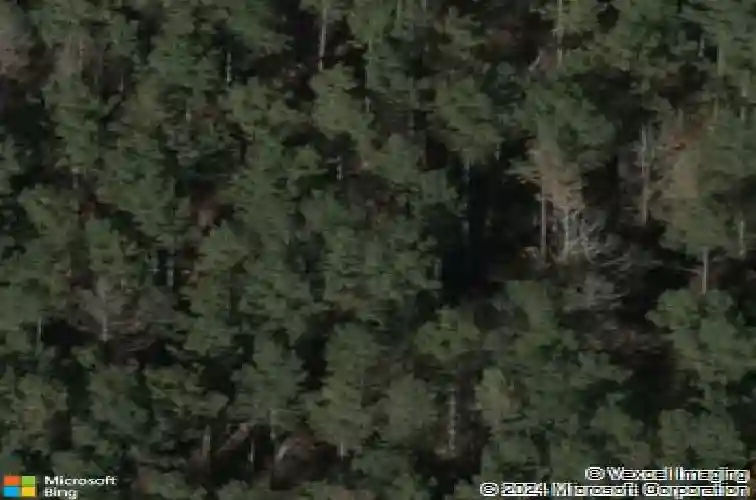 11944 broad river rd, chapin,  SC 29036