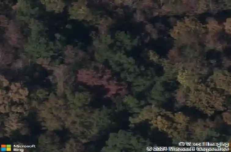 pine grove road, blythewood,  SC 29016