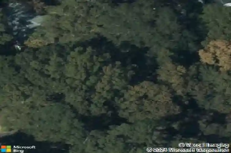 6428 winyah dr, columbia,  SC 29203