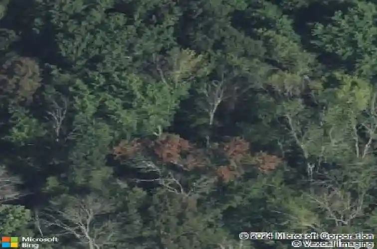 241 e saddle river rd, saddle river,  NJ 07458