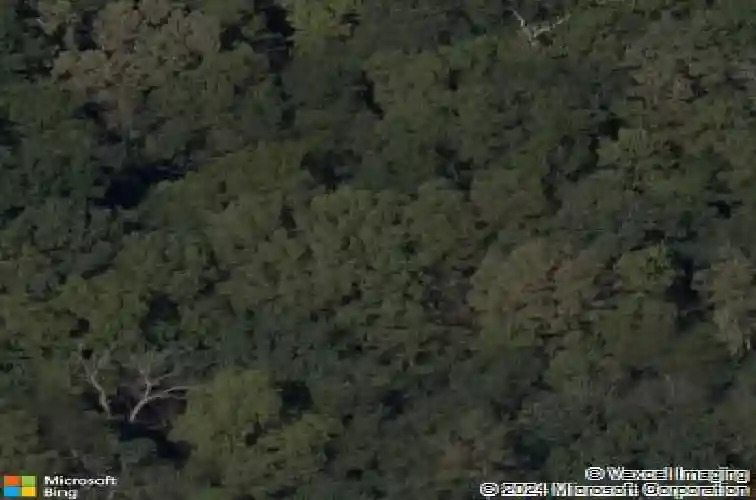 1611 sunrise dr, smithville,  MO 64089