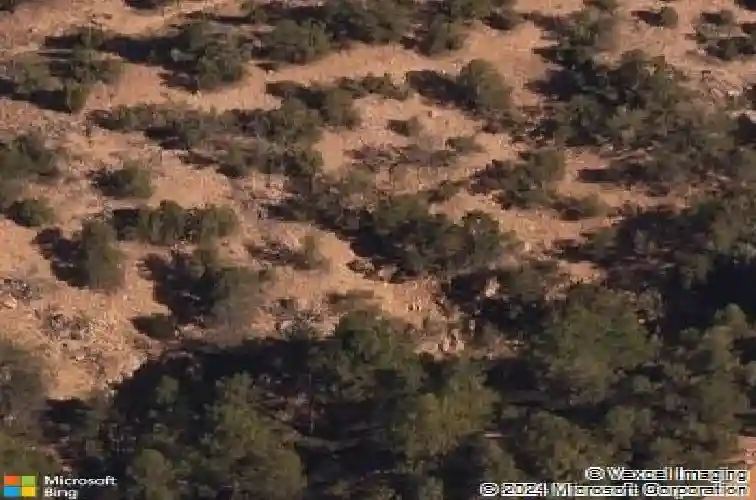 1124 e ridge rd, santa fe,  NM 87505