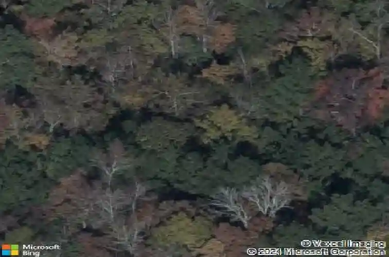 337 heritage hills dr, columbia,  SC 29203