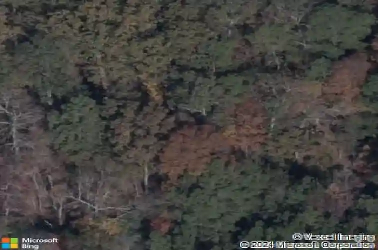 4051 hard scrabble rd, columbia,  SC 29223