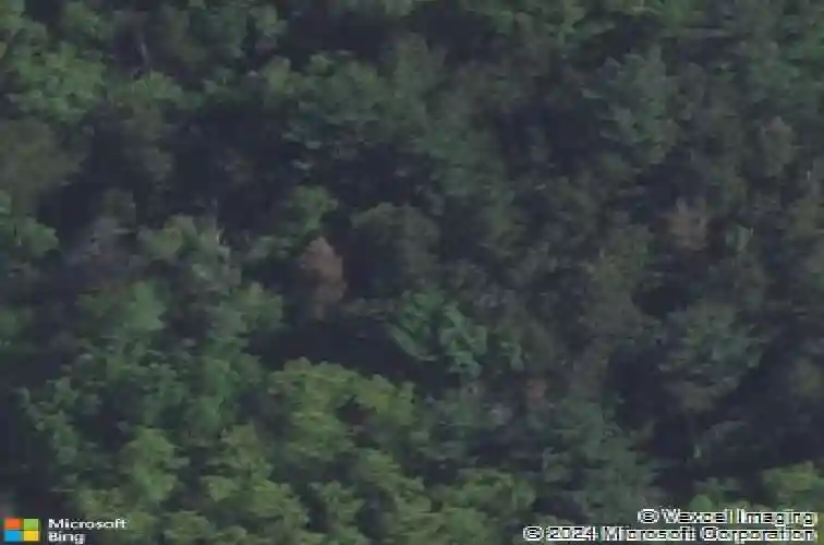 295 jappa rd, ely,  IA 52227