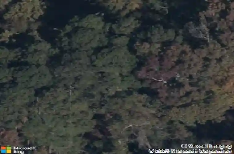 10934 two notch rd, elgin,  SC 29045