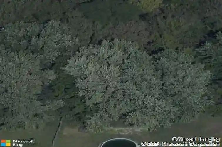 1321 n jesse james rd, excelsior springs,  MO 64024