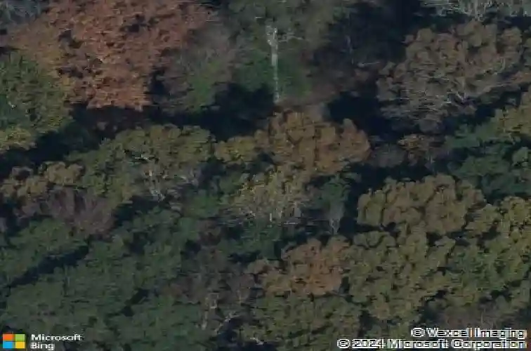 115 cedar lake rd, blythewood,  SC 29016