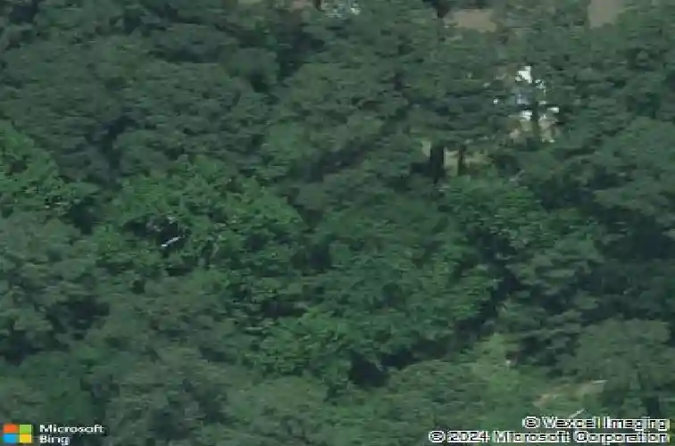 1018 beatty rd, columbia,  SC 29210