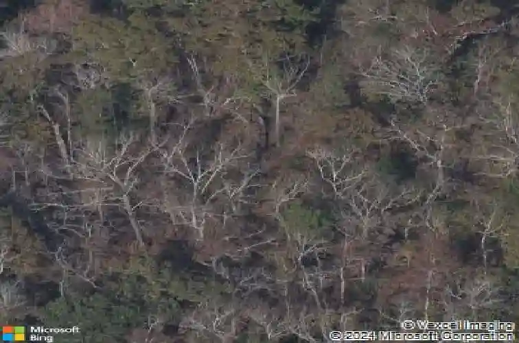 204 willie wilson rd, eastover,  SC 29044