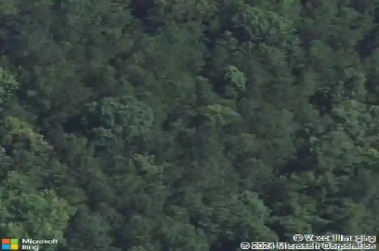 332 dubard boyle rd, columbia,  SC 29203