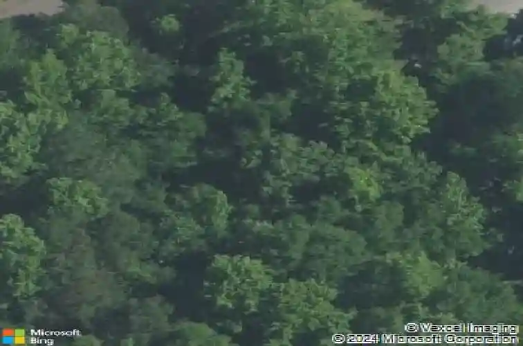 34 roberson st, columbia,  SC 29203