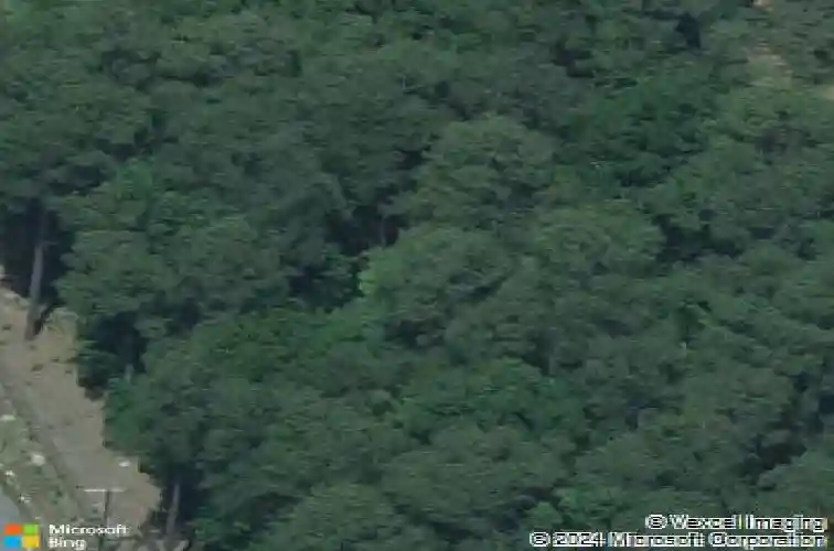 3420 kay st, columbia,  SC 29210