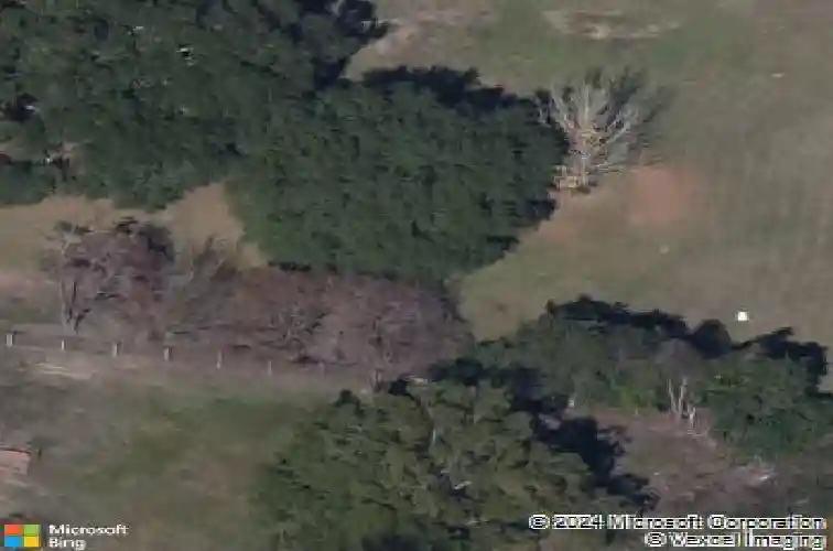 155 century oaks ln, hopkins,  SC 29061