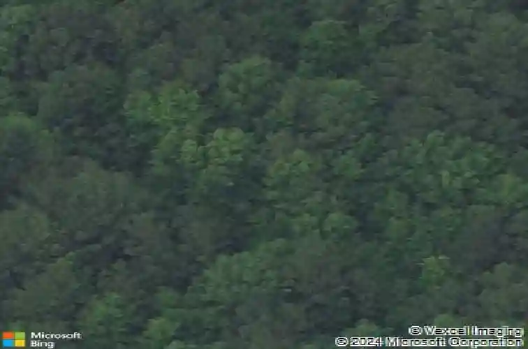 1236 crane church rd, columbia,  SC 29203