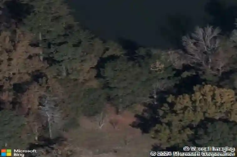 1155 russ brown rd, blythewood,  SC 29016