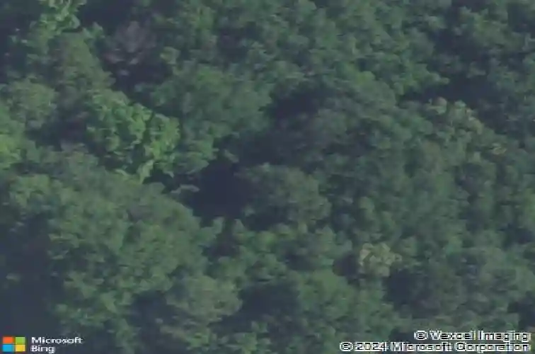 2324 alpine rd, columbia,  SC 29223