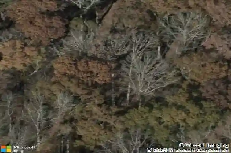 18 doe dr, little mountain,  SC 29075