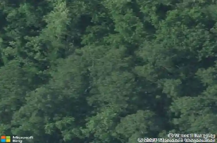 717 percival rd, columbia,  SC 29206