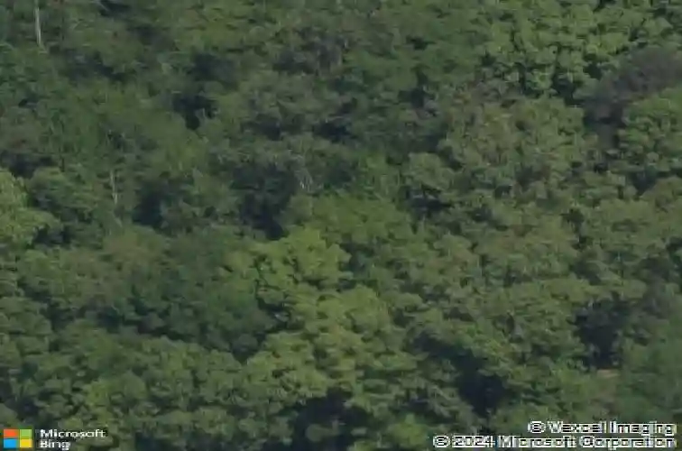 7316 barrington ridge dr
                                ,Unit 14, fort mill,  SC 29707