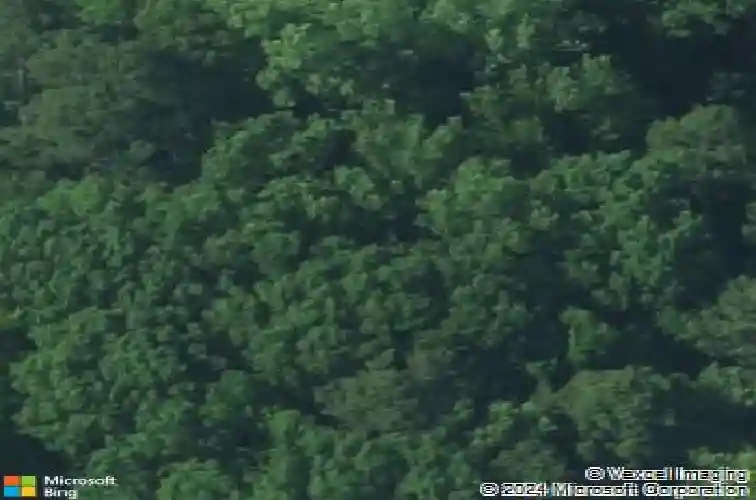 1 brooks palmer pl, columbia,  SC 29203