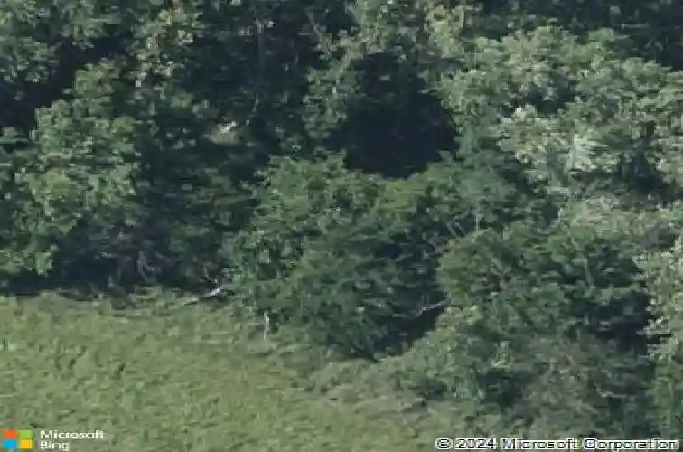 9830 interstate 70 dr se, columbia,  MO 65201