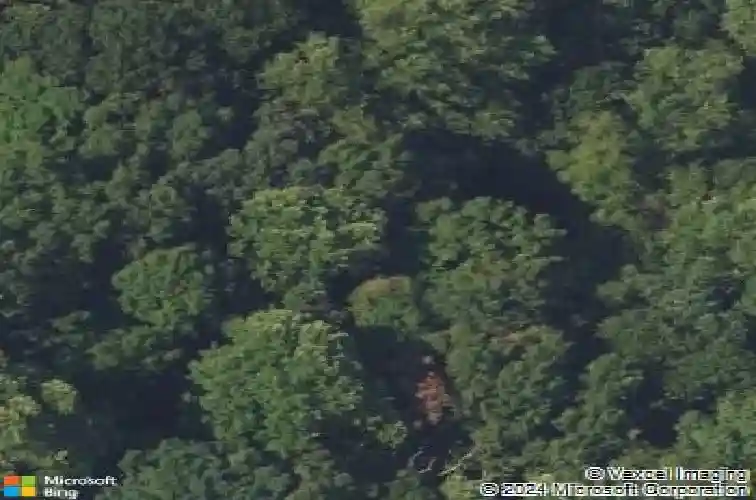  franklin lakes,  NJ 07417