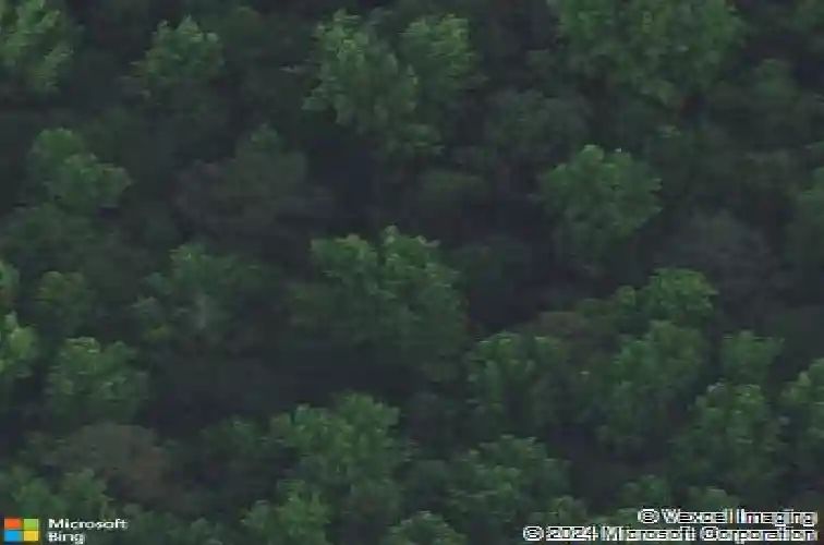 50 willow wind ln, hopkins,  SC 29061