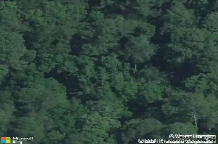 9529 commonwealth blvd, columbia,  SC 29209