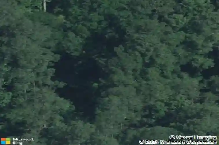 9521 commonwealth blvd, columbia,  SC 29209