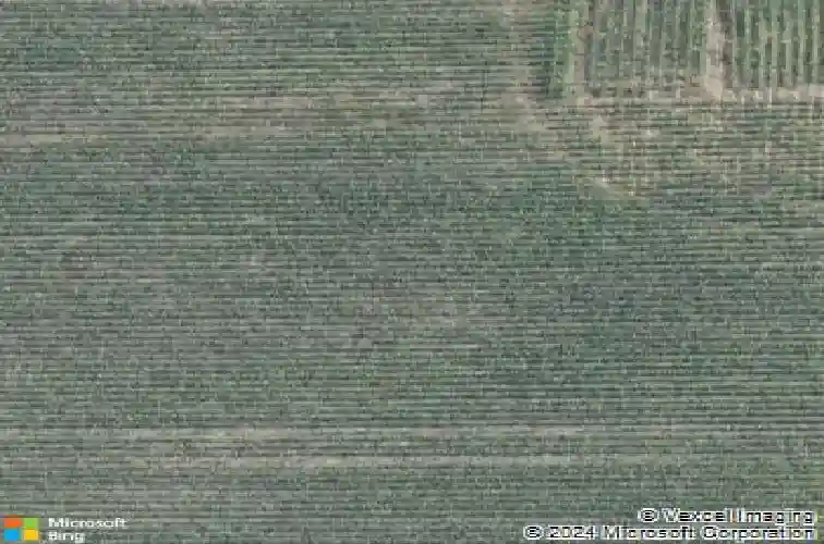 4001 vista rd, ely,  IA 52227