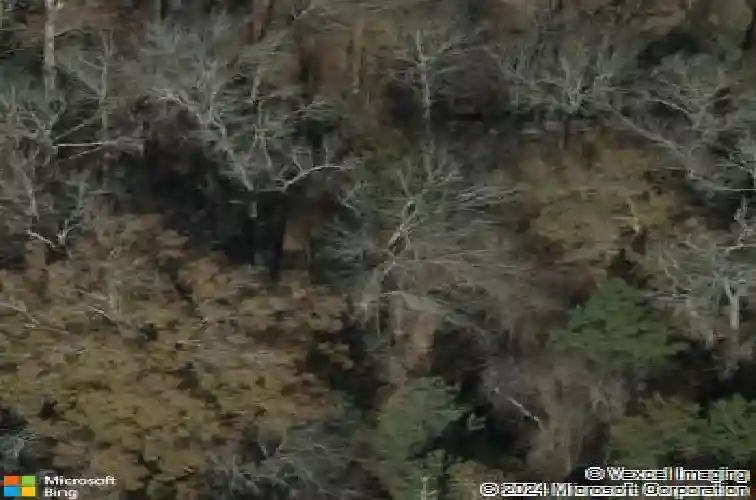 204 saints creek ln, irmo,  SC 29063