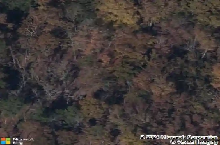 204 longcreek plantation dr, blythewood,  SC 29016