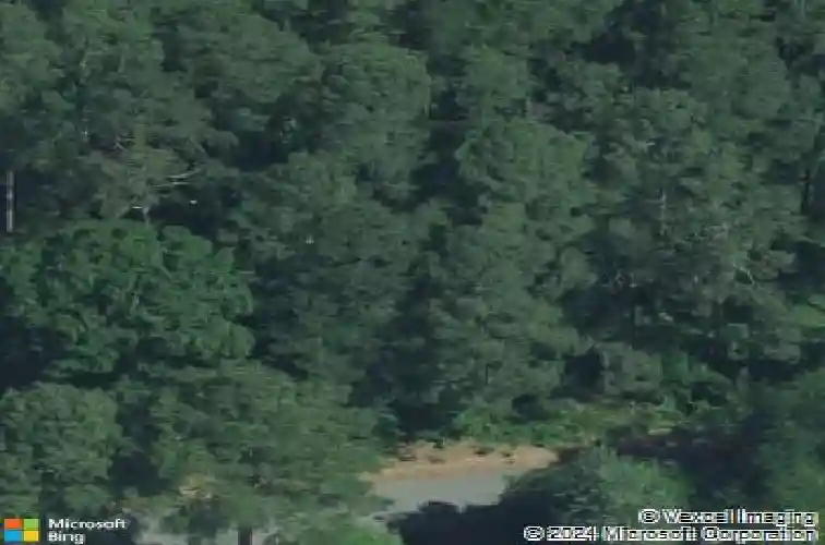 9509 commonwealth blvd, columbia,  SC 29209