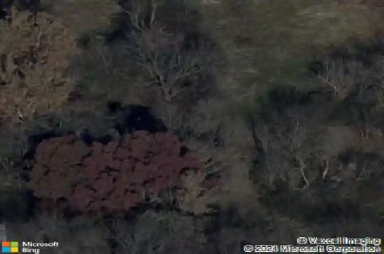 539 n lightburne st, liberty,  MO 64068