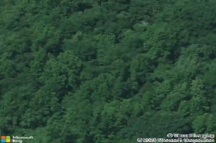 4834 brickyard rd, columbia,  SC 29203