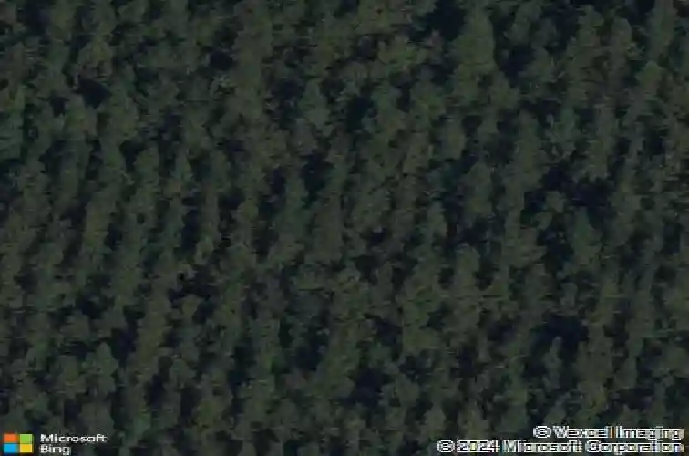 113 n firetower ct, blythewood,  SC 29016