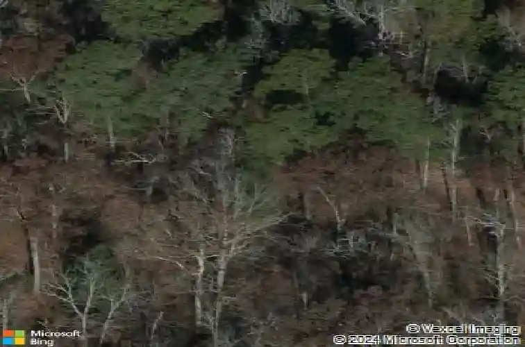 149 seven dr, chapin,  SC 29036