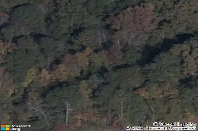 116 copperhill ln, columbia,  SC 29229