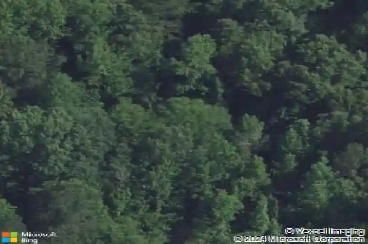 1362 winterwood rd, columbia,  SC 29203