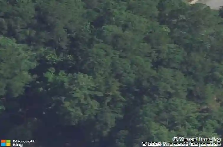 203 beaver lake dr, elgin,  SC 29045