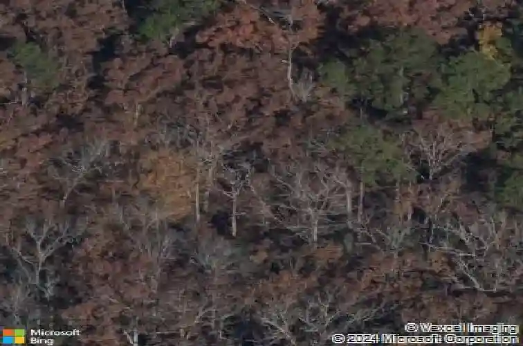 112 bridlewood ln, blythewood,  SC 29016