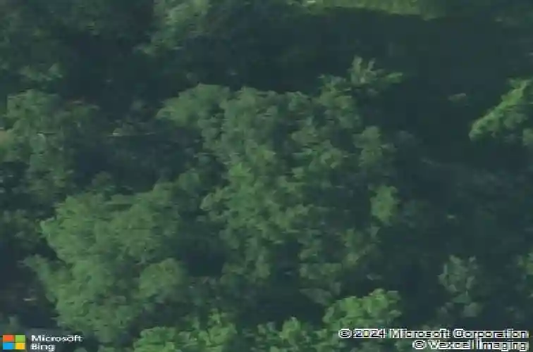 2630 dubard st, columbia,  SC 29204