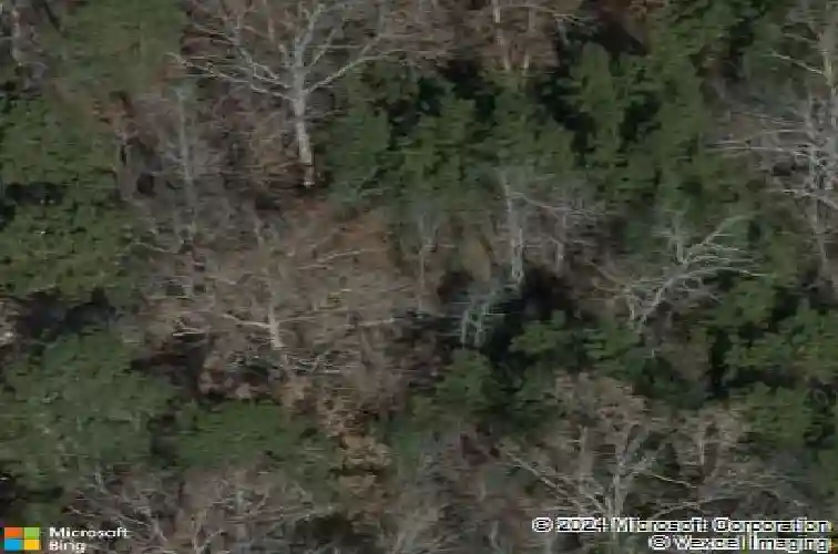 1424 shady grove rd, irmo,  SC 29063