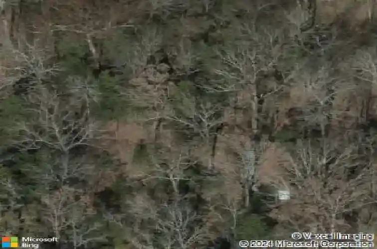 216 bookman mill rd, irmo,  SC 29063