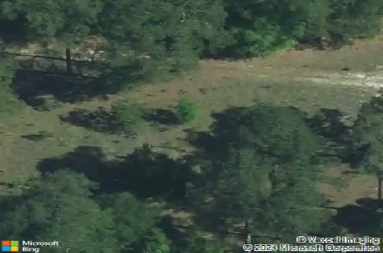 916 toms creek rd, hopkins,  SC 29061