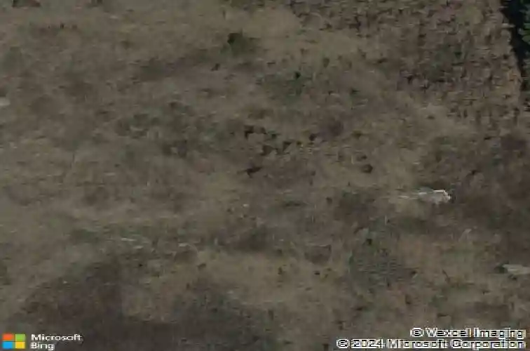 1761 dutch fork rd, irmo,  SC 29063