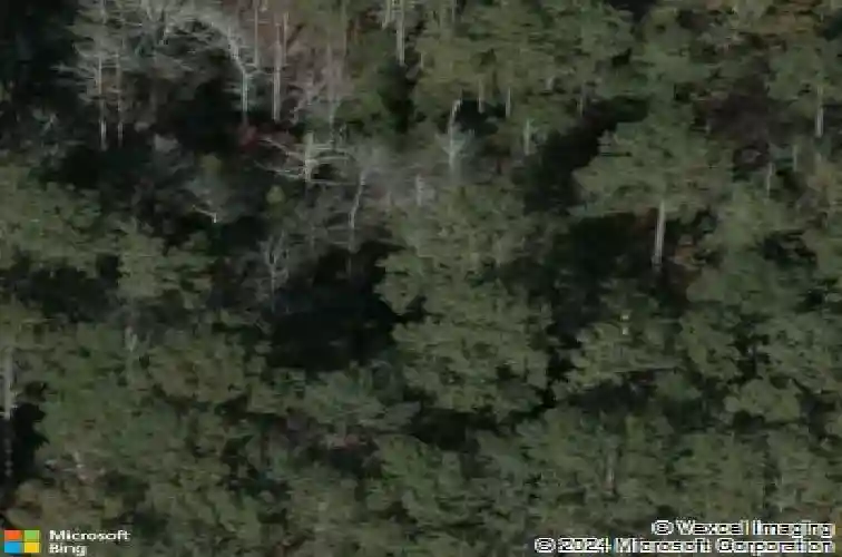 10 doe dr, little mountain,  SC 29075