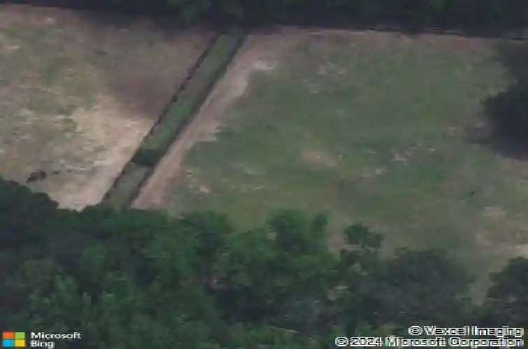 316 willow wind rd, hopkins,  SC 29061